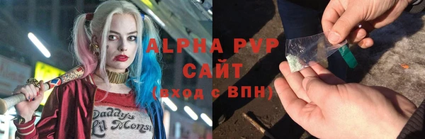 индика Медногорск