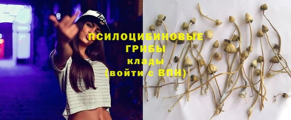 тгк Мегион