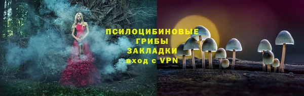 тгк Мегион
