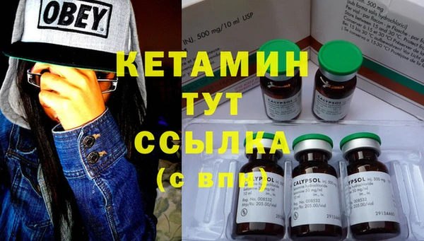 индика Медногорск