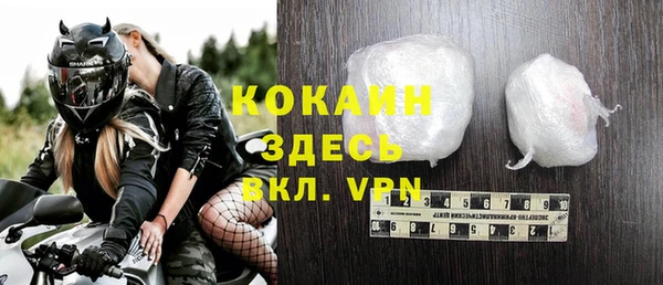 индика Медногорск