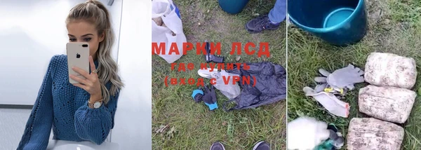 индика Медногорск