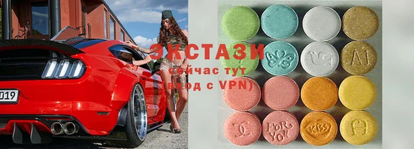 индика Медногорск