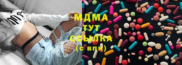 индика Медногорск