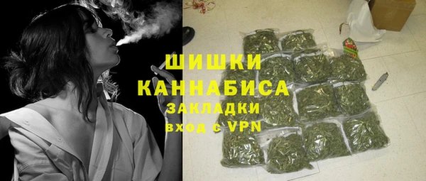 индика Медногорск