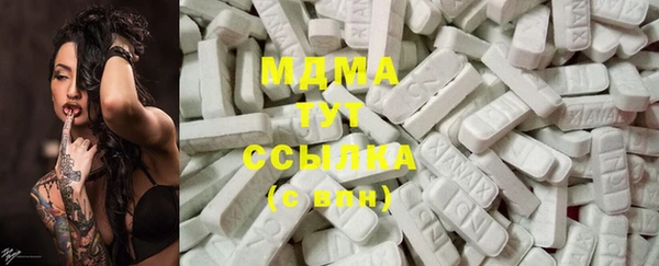 индика Медногорск