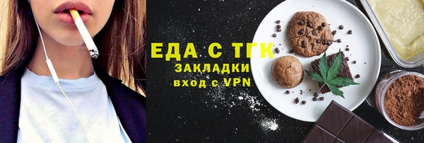 индика Медногорск